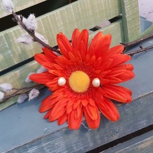 🔮🍱Magnetic Weightloss Earrings